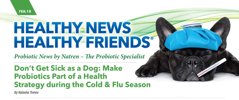 Don’t Get Sick as a Dog: Make Probiotics Part of a Health Strategy during the Cold & Flu Season